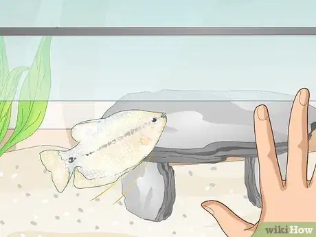 Image titled Reduce Chlorine in an Aquarium Step 11