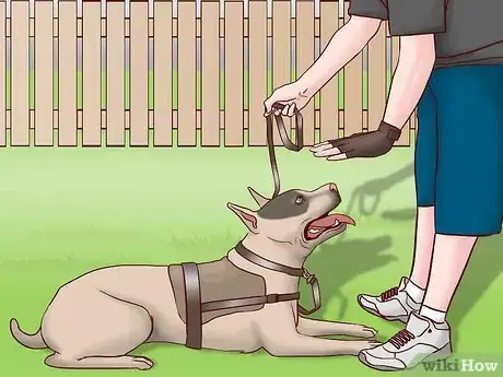 Image titled Register Your Dog As a Service Dog Step 6