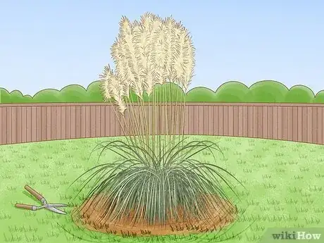 Image titled Dry Pampas Grass Step 1