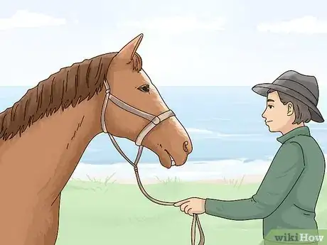 Image titled Tell if a Horse Is Frightened Step 9