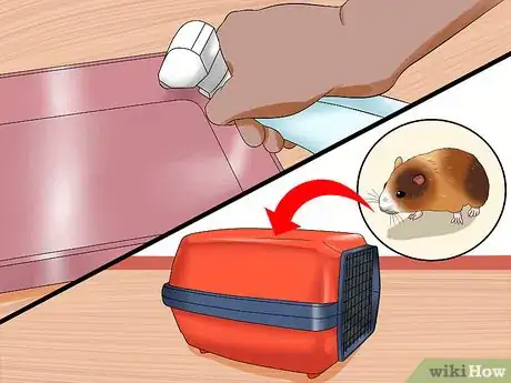 Image titled Care for a Hamster That Bites Step 3