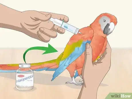 Image titled Stop a Macaw from Feather Picking or Chewing Step 6