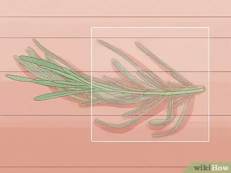 Image titled Divide a Lavender Plant Step 10