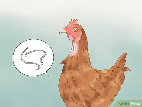 Image titled Tell if a Chicken is Sick Step 18