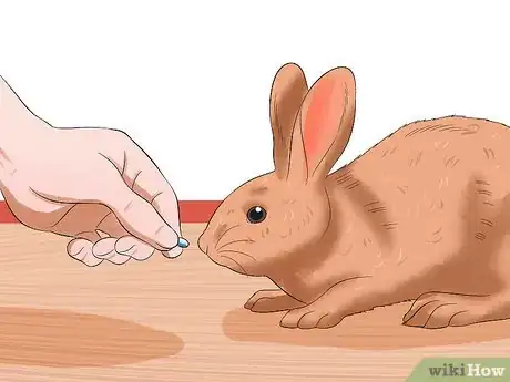 Image titled Entertain Your Rabbit Step 6