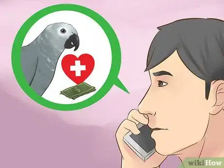 Image titled Know if an African Grey Parrot Is Right for You Step 16