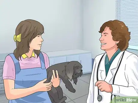 Image titled Care for Havanese Dogs Step 21