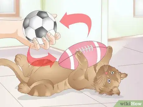 Image titled Get Your Cat to Stop Knocking Things Over Step 9