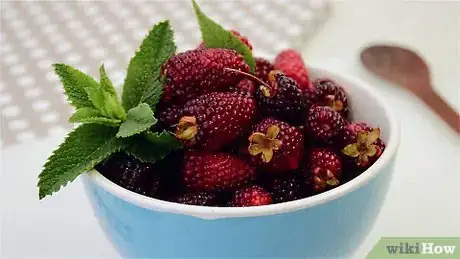 Image titled Macerate Blackberries Step 1