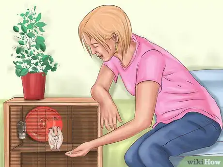 Image titled Create a Bond With Your Hamster Step 5