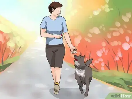 Image titled Improve Your Dog's Show Ring Gait Step 10