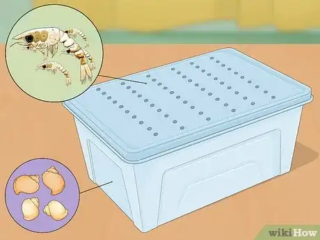 Image titled Breed Hermit Crabs Step 13