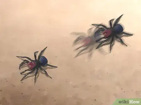 Image titled Identify a Mouse Spider Step 11