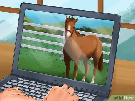 Image titled Be an Equestrian Step 1