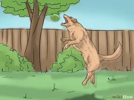 Image titled Build a Dog Park Step 15