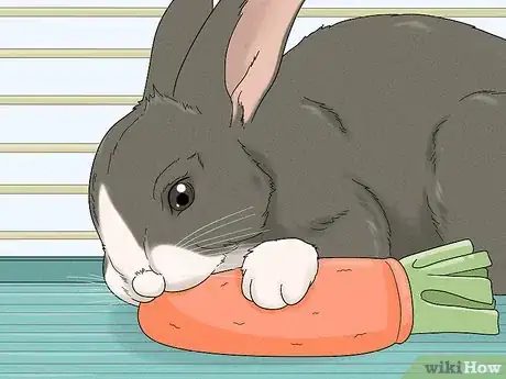 Image titled Stop a Bunny from Chewing Its Cage Step 3