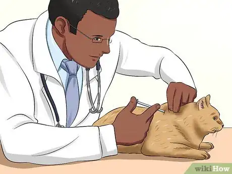 Image titled Diagnose Feline Panleukopenia (Distemper) Step 7