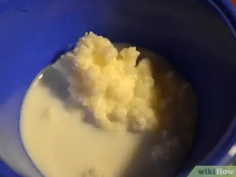 Image titled Maintain Kefir Grains Step 5Bullet1