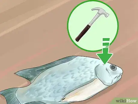 Image titled Farm Tilapia Step 18