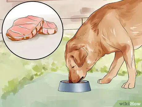 Image titled Make Your Labrador Retriever Happier Step 7