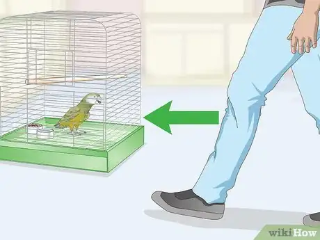 Image titled Pet a Bird Step 2