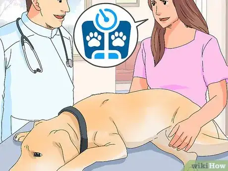 Image titled Build a Dog's Muscles Step 8