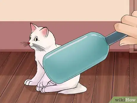 Image titled Pet a Kitten Step 14