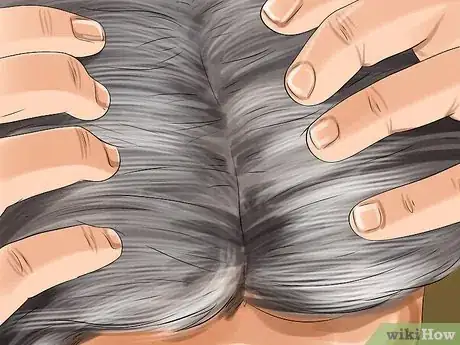 Image titled Maintain Silver Hair Step 15