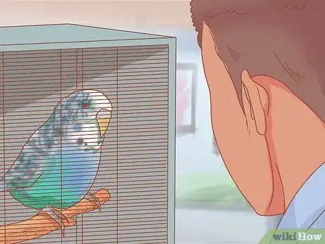 Image titled Teach Your Parakeet to Love You Step 2