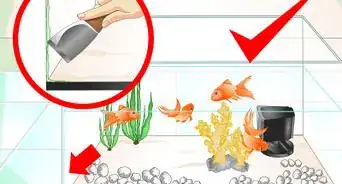 Keep Aquarium Water Clear