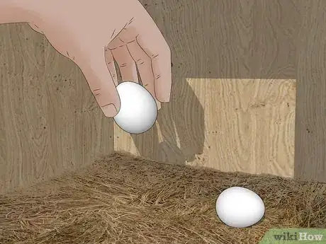 Image titled Keep Chickens from Eating Their Own Eggs Step 9