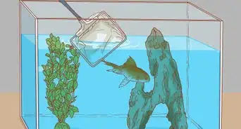 Sanitize a Fish Tank