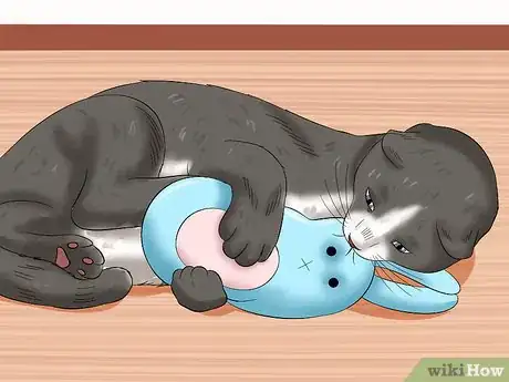 Image titled Train Your Cat to Listen Step 2