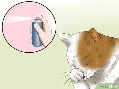 Image titled Treat Conjunctivitis in Cats Step 1