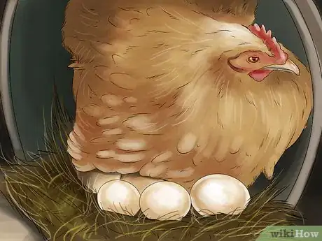 Image titled Hatch a Mallard Duck Egg Step 4