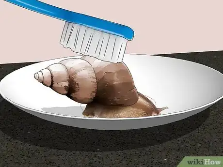 Image titled Care for Snails Step 10