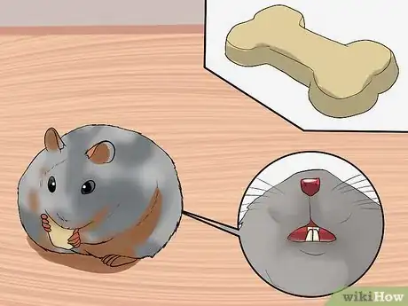 Image titled Care for Chinese Dwarf Hamsters Step 7