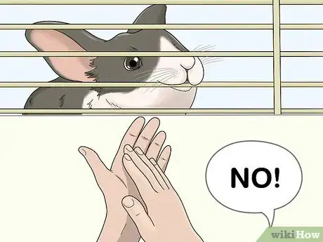 Image titled Stop a Bunny from Chewing Its Cage Step 2