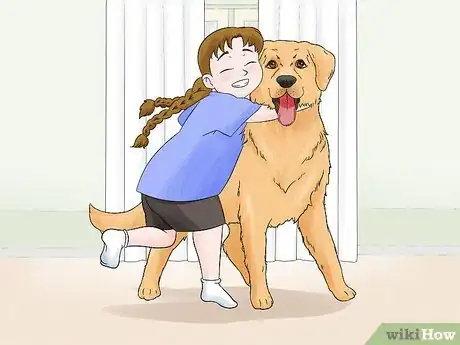 Image titled Identify a Golden Retriever Step 12
