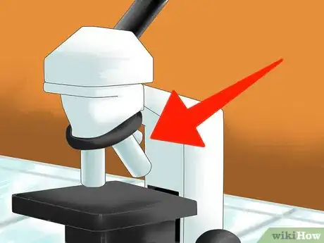 Image titled Tell the Difference Between Prokaryotes and Eukaryotes Step 3