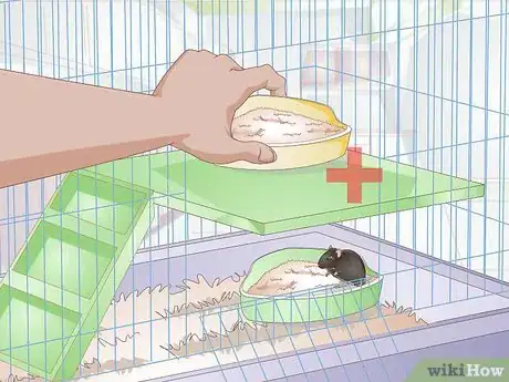 Image titled Litterbox Train Your Rat Step 10