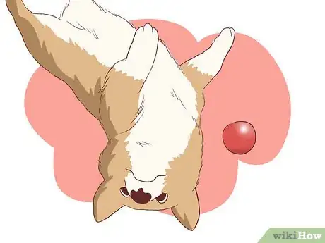 Image titled Help Your Dog Deal with the Death of Another Dog Step 5