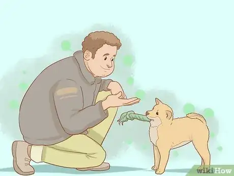 Image titled Stop a Puppy from Eating Stones Step 7