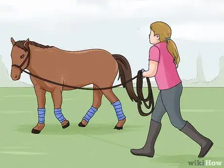 Image titled Lunge a Horse Step 9