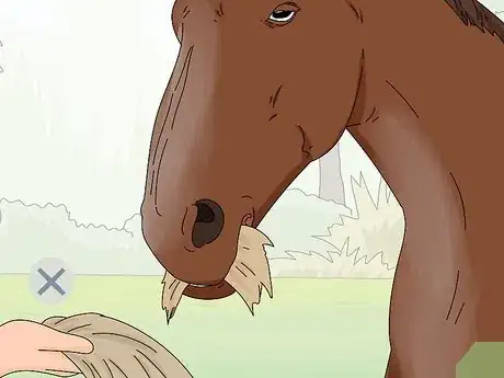 Image titled Teach Your Horse to Stop Biting Step 4