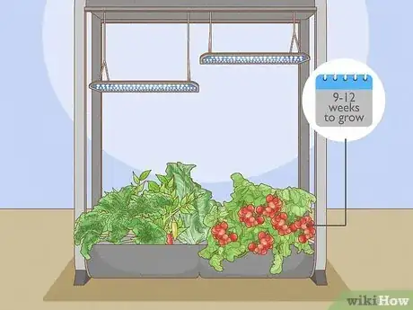 Image titled Aerogarden Tomatoes Step 1