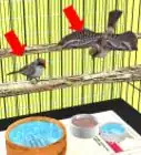 Make a Bird Cage from a Dog Cage