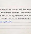 Describe a Forest Fire in Writing