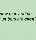 Teach Prime Numbers