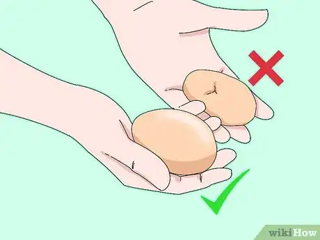 Image titled Sell Chicken Eggs Step 6